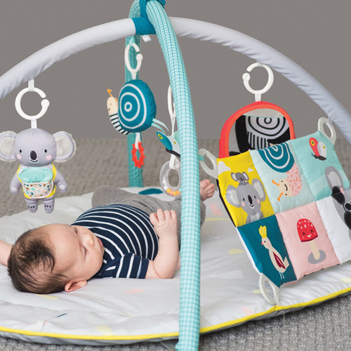 Taf Toys Easier Development All Around Me Gym