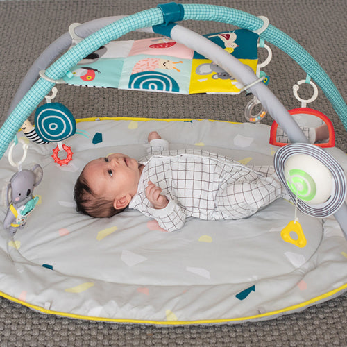 Taf Toys Easier Development All Around Me Gym