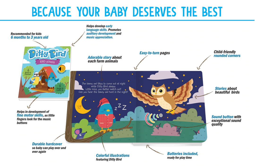 Ditty Bird Bird Songs