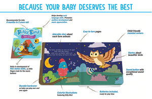 Ditty Bird Bird Songs