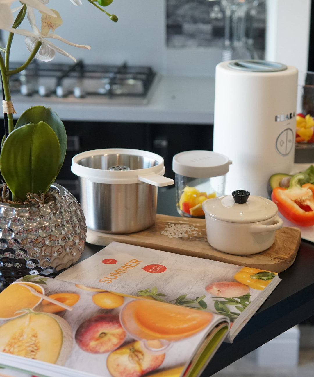 Beaba Babycook Book- Your Baby's First Food With Baby Cook