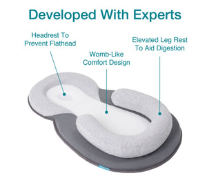 Babymoov Cosydream Baby Support Lounger- Smokey