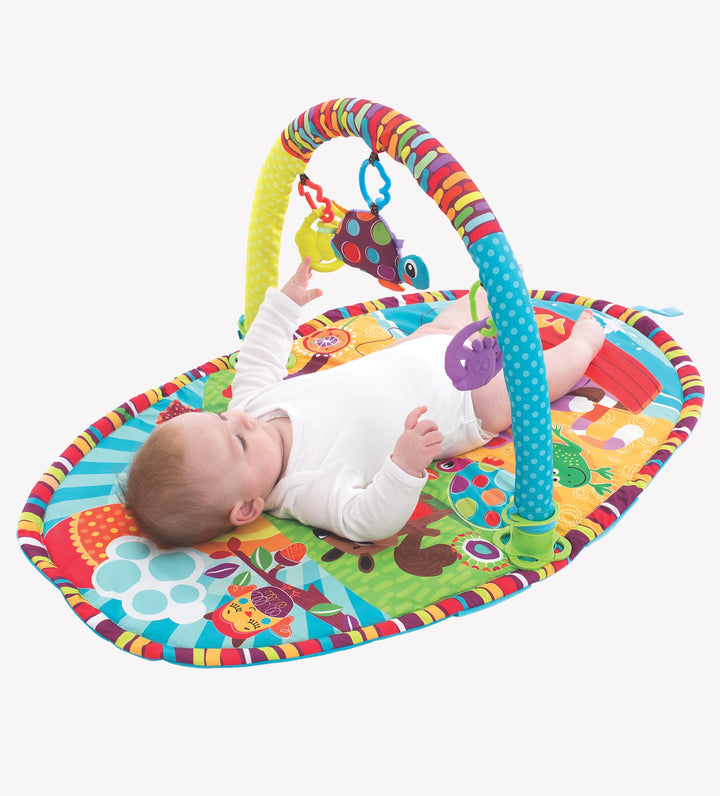 Playgro Play In the Park Activity Gym