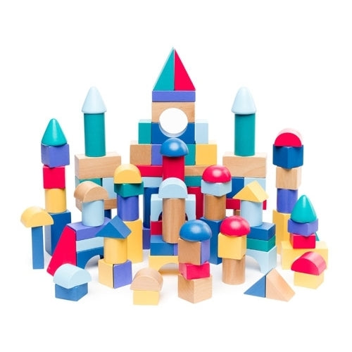 Learning Can Be Fun Build and Play Blocks- Set of 100