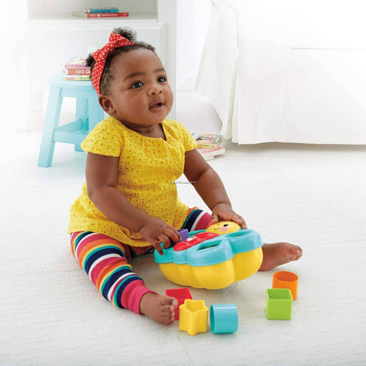 Fisher-Price Butterfly Shape Sorter