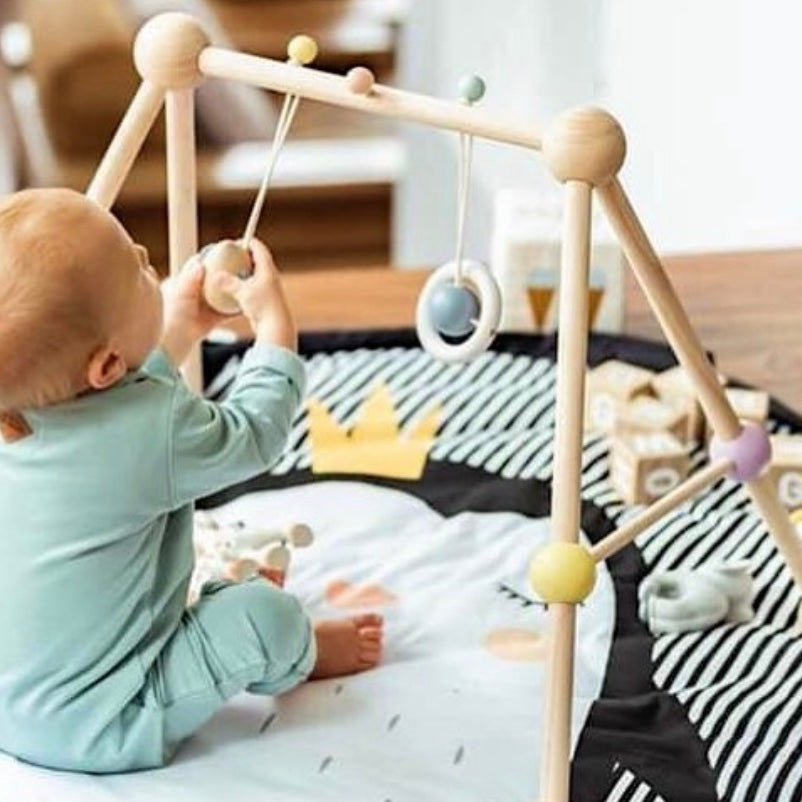 Plan Toys Play Gym
