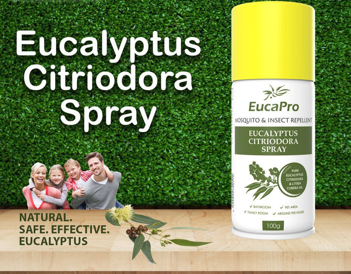 EucaPro Mosquito & Insect  Eucalyptus Citriodora Spray 100g