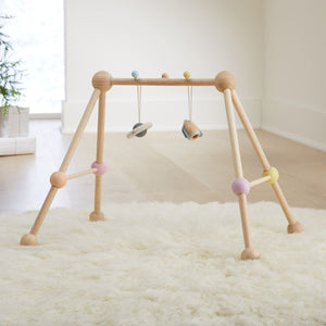 Plan Toys Play Gym