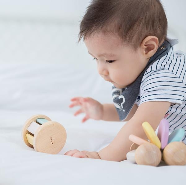 Plan Toys Roller