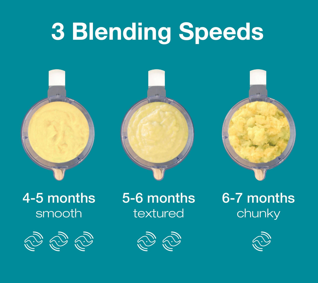 Babymoov Nutribaby+ Baby Food Processor- Industrial Grey