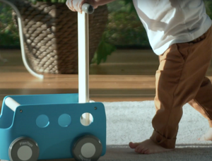 Plan Toys Van Walker