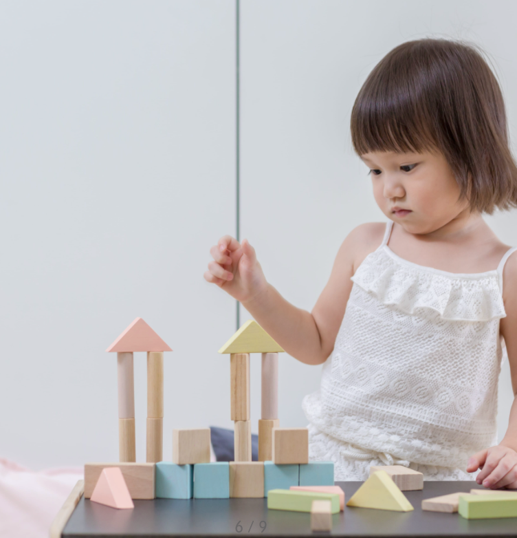 Plan Toys 40 unit Blocks