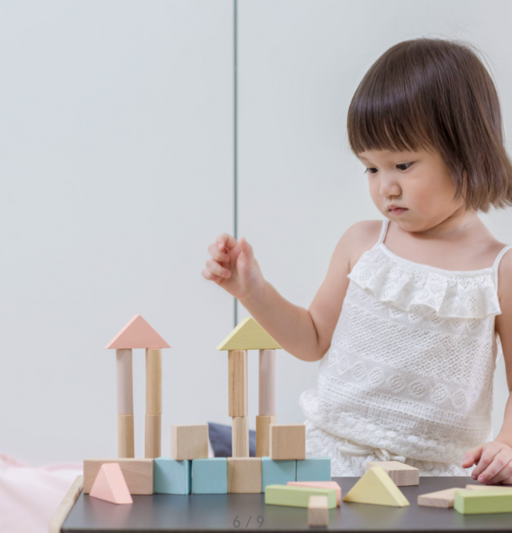Plan Toys 40 unit Blocks