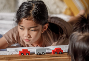 Plan Toys Mini Car Set