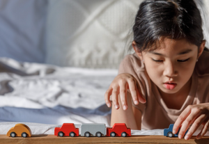 Plan Toys Mini Car Set