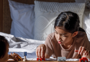 Plan Toys Mini Car Set