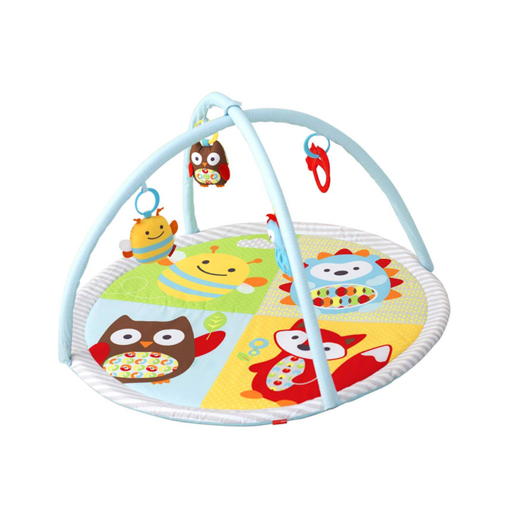 Skip Hop Explore & More Funscape Activity Gym