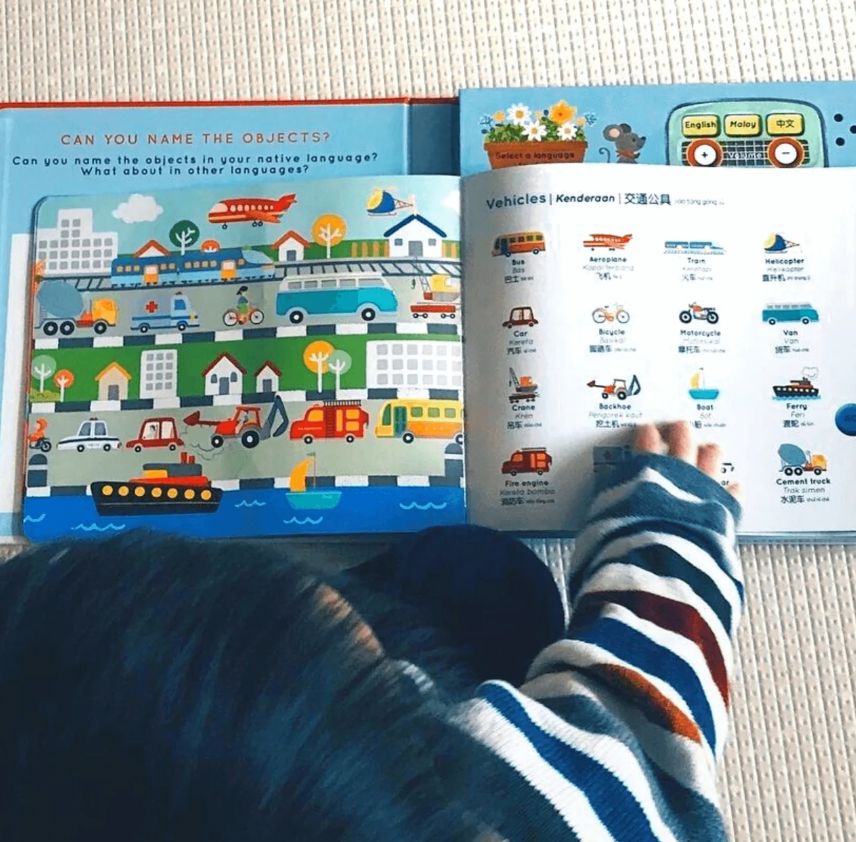 Baba Baa Press and Learn Book in English Malay Chinese