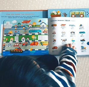 Baba Baa Press-and-Learn Sound Book in English, Malay & Chinese