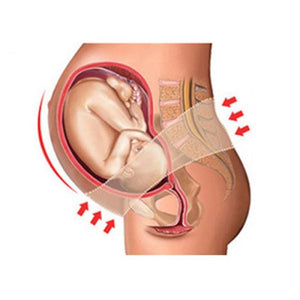 Lunavie Prenatal & Postpartum Maternity Belt - Happikiddo.com