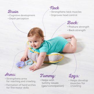 Taf Toys Developmental Pillow - Happikiddo.com