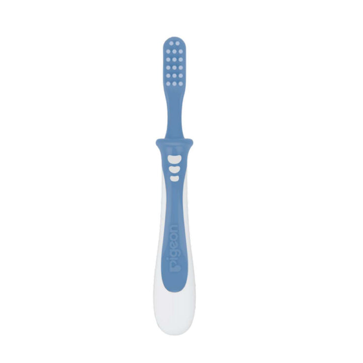 Pigeon Training Toothbrush- Lesson 3 Blue