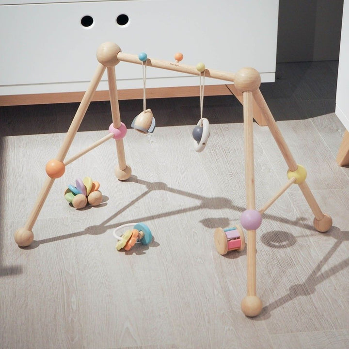 Plan Toys Play Gym