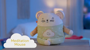 Fisher-Price Meditation Mouse (GRV08)
