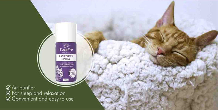 EucaPro Lavender Spray 100g