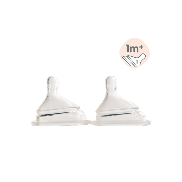 Hegen Teat Slow Flow (2 pack)