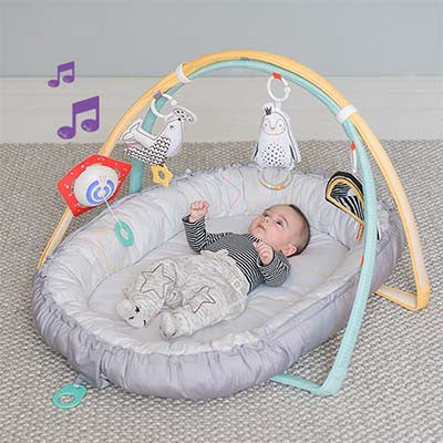 Taf Toys Easier Development Musical Newborn Cosy Gym