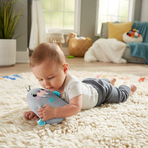 Fisher-Price Chill Vibes Walrus Soother (GRT91))