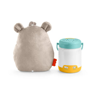 Fisher-Price Baby Bear & Firefly Soother (GRR00)