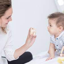 Plan Toys Peek a Boo Roller