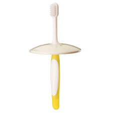 Pigeon Training Toothbrush- Lesson 2