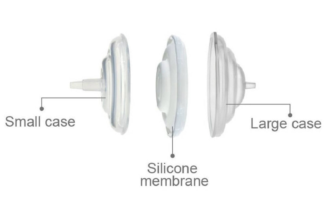 Spectra Backflow Protector