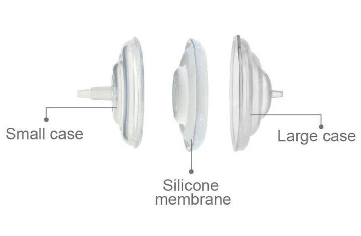 Spectra Backflow Protector