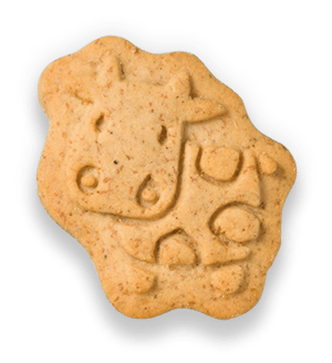 Organix Farm Animal Biscuits