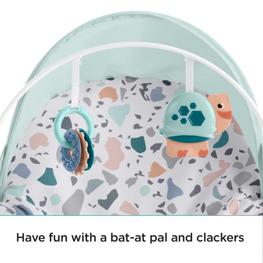 Fisher-Price Deluxe Infant-to-Toddler Rocker (GHY58)