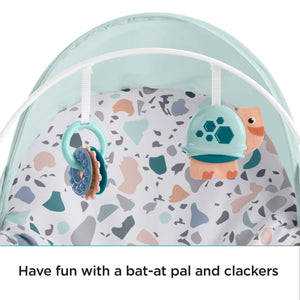 Fisher-Price Deluxe Infant-to-Toddler Rocker (GHY58)