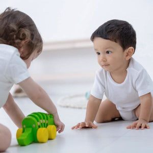 Plan Toys Dancing Alligator
