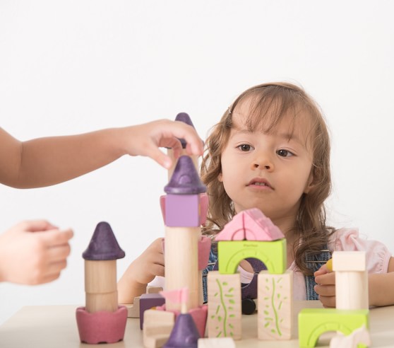 Plan Toys Fairy Tales Blocks
