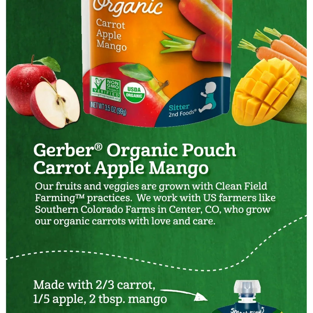 Gerber Organic Puree Pouch (99g)