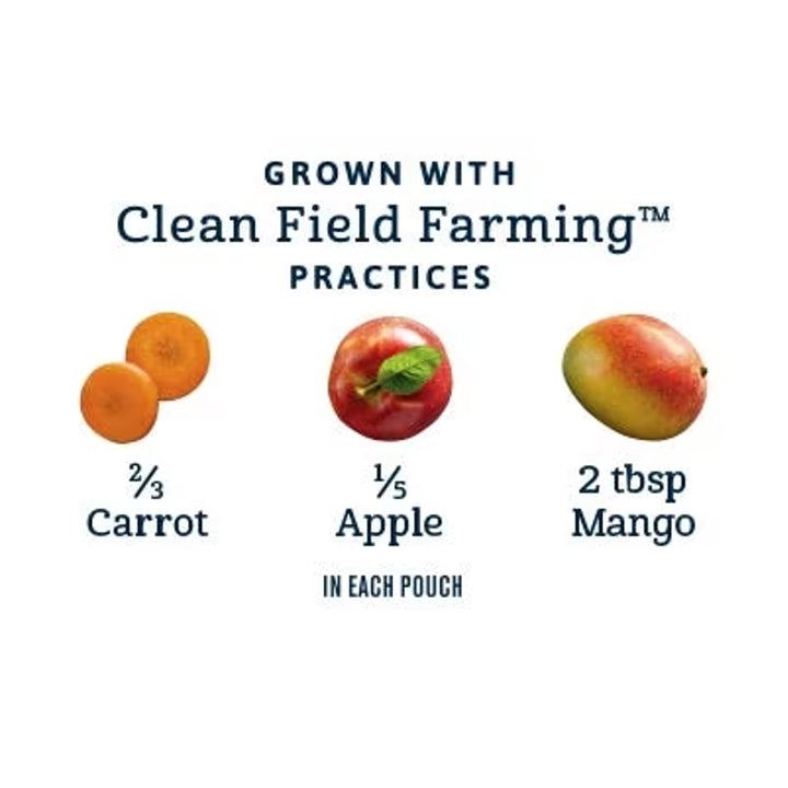 Gerber Organic Puree Pouch (99g)