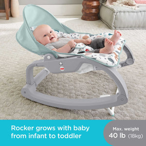 Fisher-Price Deluxe Infant-to-Toddler Rocker (GHY58)