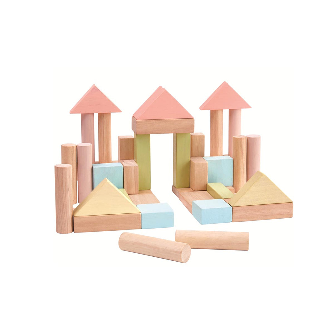 Plan Toys 40 unit Blocks