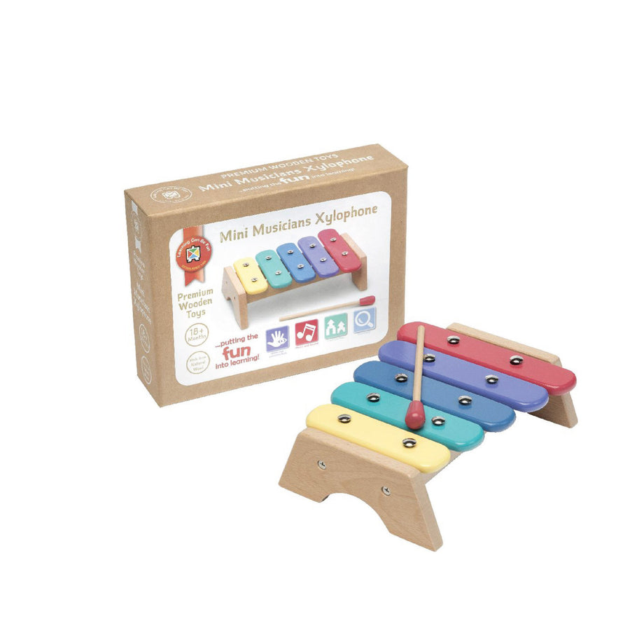 Learning Can Be Fun Mini Musicians Xylophone
